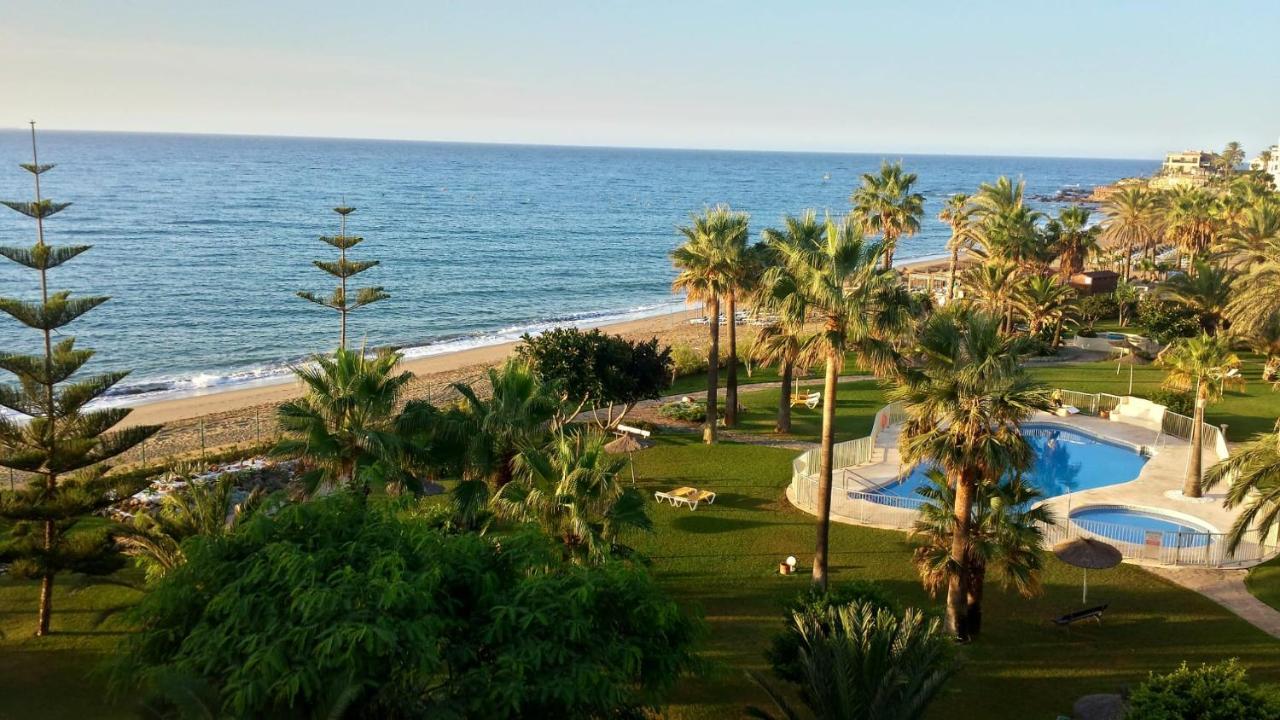 Mimosas, * La Cala De Mijas